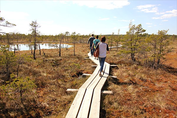 139-Национальныи парк Кемери